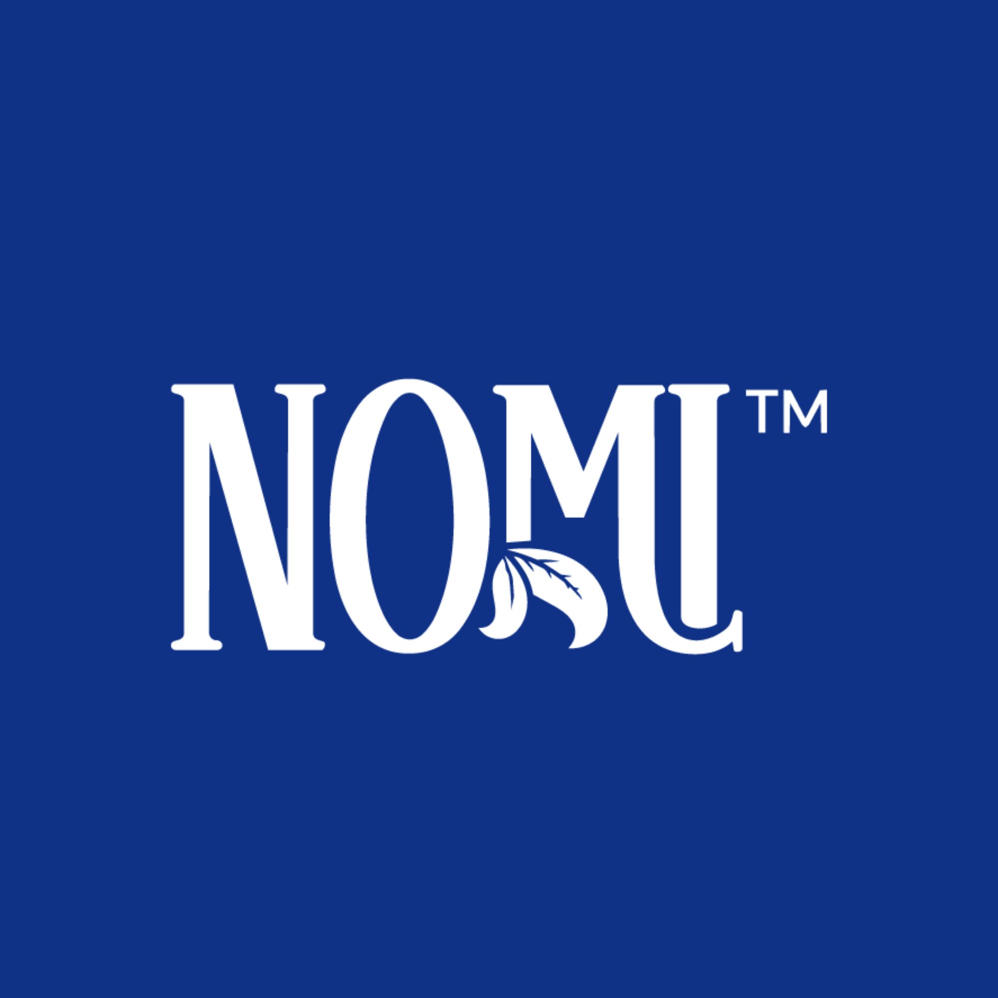 Nomi Flavours | Clean Ingredients Protein Bars & Snack Cubes – Nomi ...